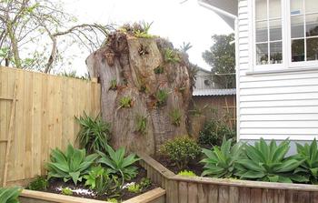 Large Tree Stump A large tree stump does not need to be a problem but a feature. Looks beautiful planted up with bromeliads.