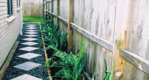 Planting for foliage texture with Hen & chicken ferns & Clivia.