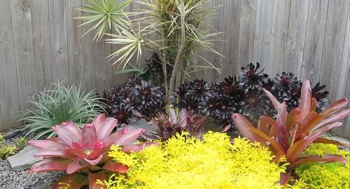 Courtyard The use of foliage colour and textures gives you all year round interest.