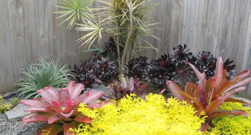 The use of foliage colour and textures gives you all year round interest.