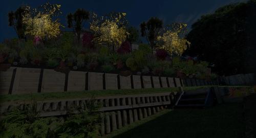 Bank & Small Garden Light up the Kowhai trees creates interest to the back yard