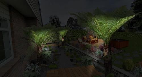 Dry River Bed Highlighting the tree ferns to the entertainment area