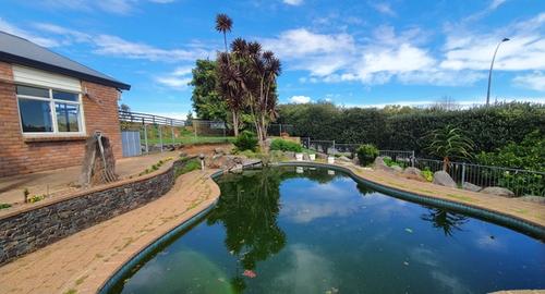 Pool Feature Garden Great foundation of rocks & shape to get creative