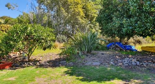 Back Garden Has very little interest or vocal point to admire