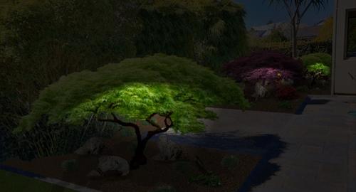Japanese Garden @ Night Lighting up the Maples creates an area to admire & enjoy in the evenings.