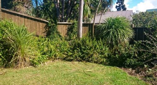 Looking down from deck to small unkept courtyard with an old wooden fence.