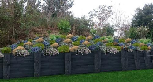 Bank With careful placement of plants and colours, the bank can be covered. Digitally removing the tree provides a true vision of what the bank could look like.