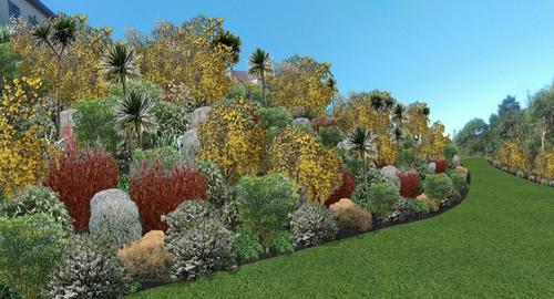 Top Bank Looking Down With hardy native planting, creating canopy levels with foliage colour & texture. The native birds now have another area to visit.