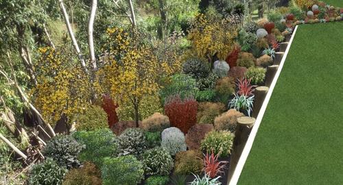 Lower Bank Continuing the same planting plan with smaller plants at the top of the bank so you can look into and down the bank.