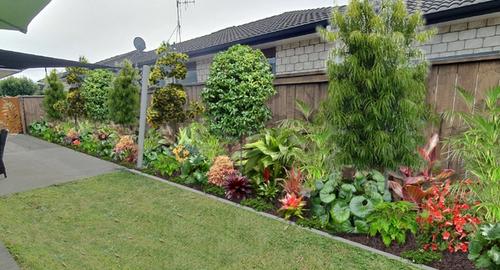 Courtyard Side Sub-tropical plants with a variety of foliage shapes, colours & fragrances