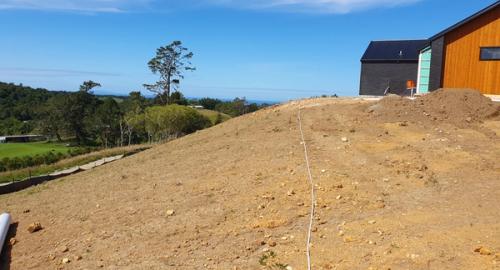 To stabilise the bank and be in harmony with your surrounding area planting the bank in NZ native plants is required. 