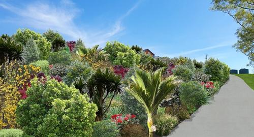 Large Native Bank Looking Up Bottom of the bank introduce plants with more height. This will prevent you from losing your view & creates privacy from the driveway. By nestling your house into the area you also create a haven for native birds with plants chosen for food.