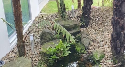 Shaded Feature Garden A feature garden that has potential but lacks life.
Remove overgrown Pungas that are too close to the house.