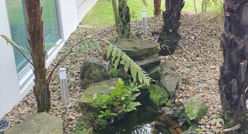 A feature garden that has potential but lacks life.
Remove overgrown Pungas that are too close to the house.