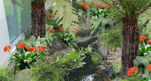 Shaded Feature Garden Create a lush, low maintence and interesting feature garden for you to enjoy all year round.