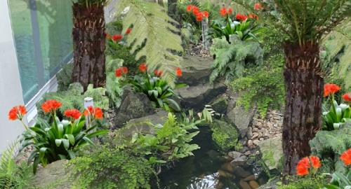 Create a lush, low maintence and interesting feature garden for you to enjoy all year round.