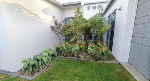 Shaded Feature Garden Underplanting with ferns & clivia now gives a lush appearance.