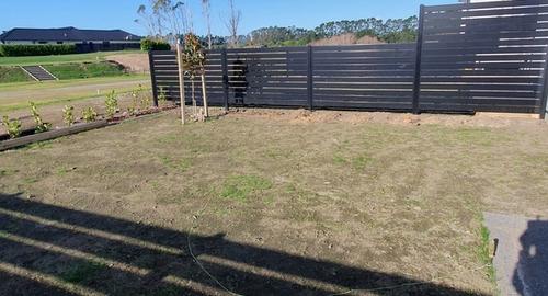 Small Courtyard with Feature Tree Small lawn area lacking interest.