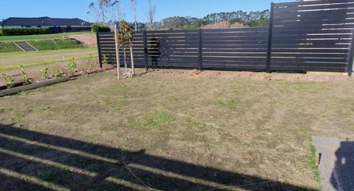 Small lawn area lacking interest.