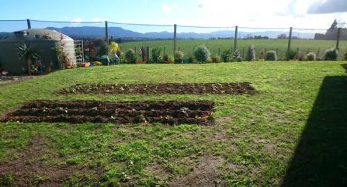 Vegetable garden that lacks interest.