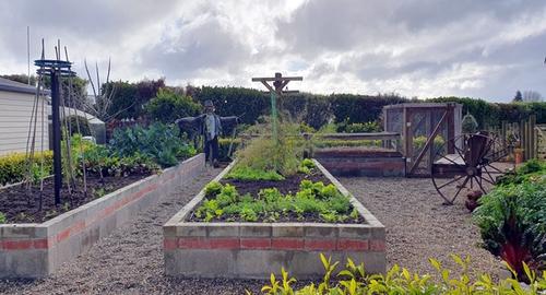 Vege Garden Area 5 years later now an area of interest & eatable garden