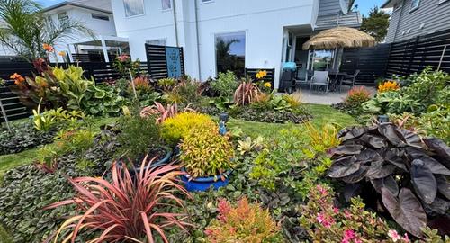 1-1/2 years later the concept images have been created